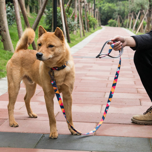 Fournitures pour animaux de compagnie laisse pour chien Ma boutique