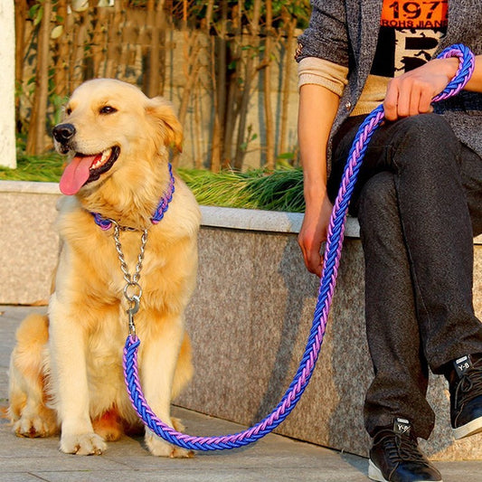 Chaîne pour grand chien Golden Retriever Ma boutique