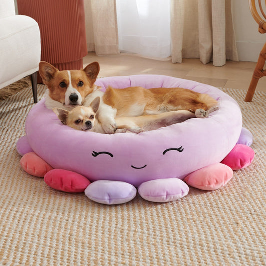 Lit pour animaux en peluche super doux Ma boutique