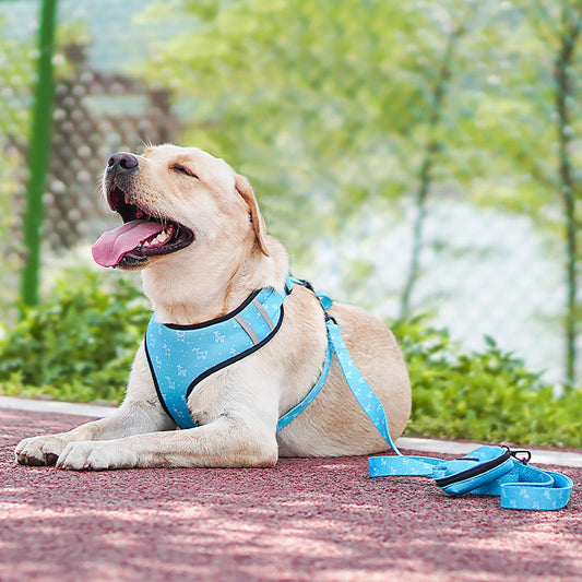 Harnais pour chien avec nœud Ma boutique